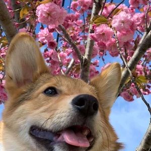 Meet your Posher, Itzel